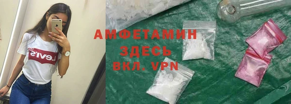 шишки Покачи